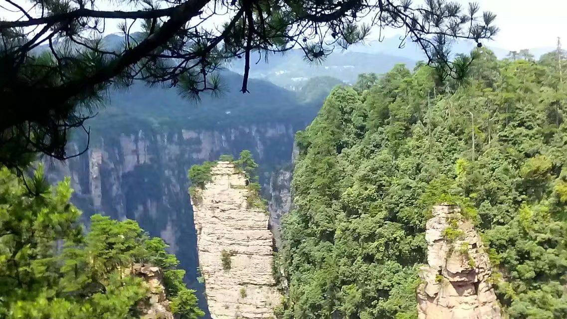 神奇的张家界旅游,张家界黄石寨望夫岩