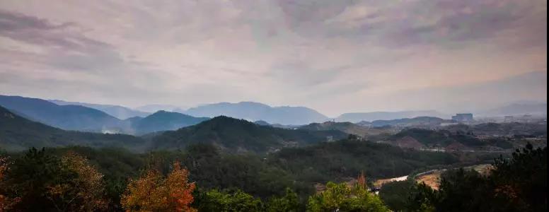 明明可以靠颜值却偏偏要靠拼实力,明明可以靠颜值却偏要拼才华系列