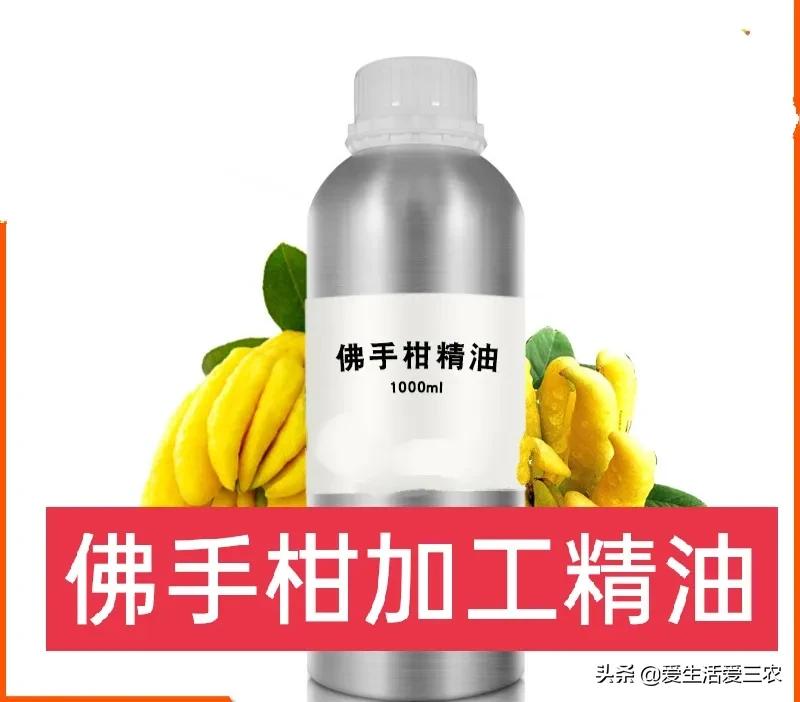 佛手柑种植新政策,佛手柑一亩种植成本