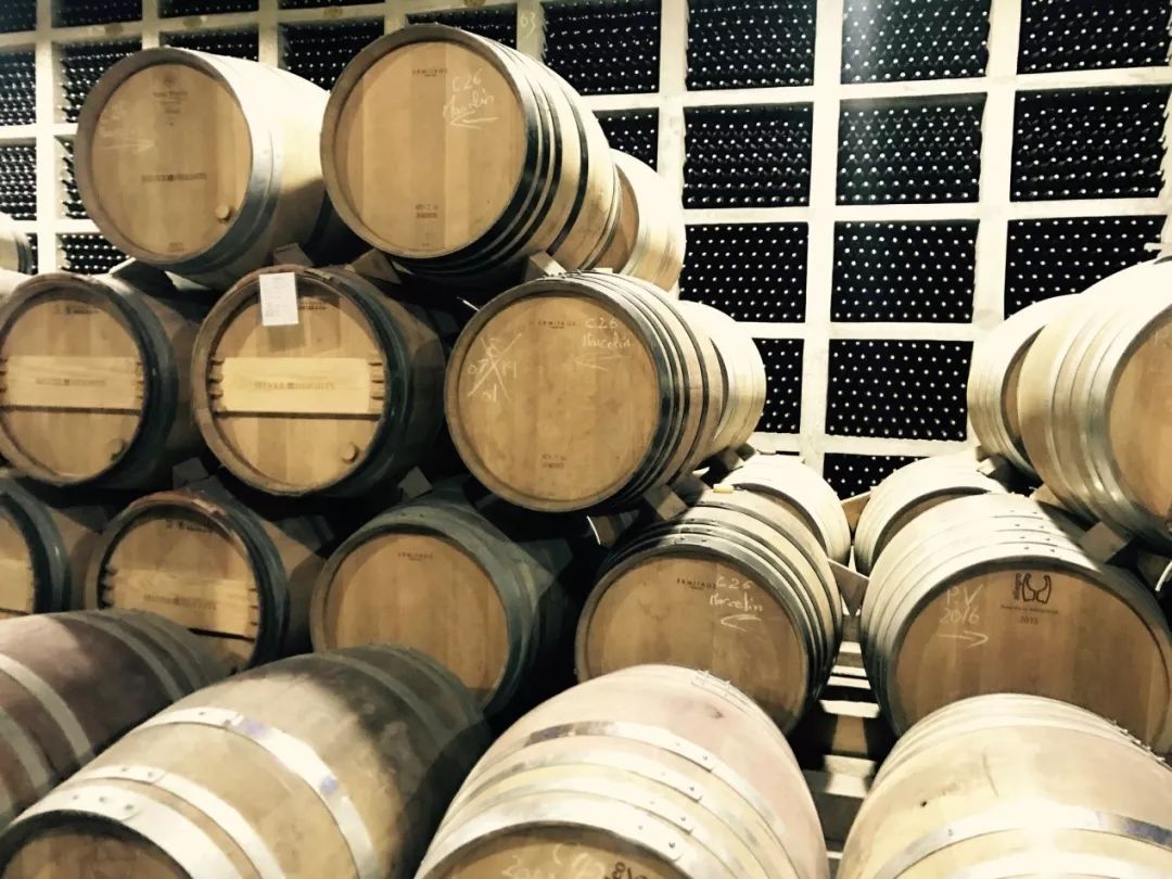 中国宁夏葡萄酒走向世界,宁夏葡萄酒从这里走向世界