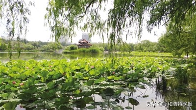 青城眼旅游攻略,青城美景