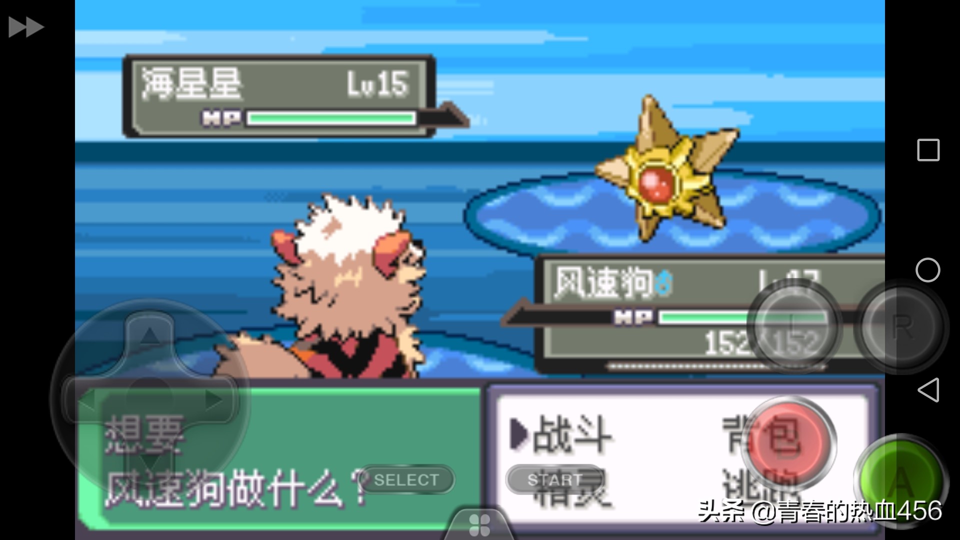 口袋妖怪剑盾风速狗,口袋妖怪剑盾雪原抓什么宝可梦好