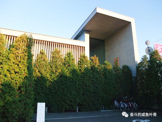 北海道函馆推荐,北海道的夏天