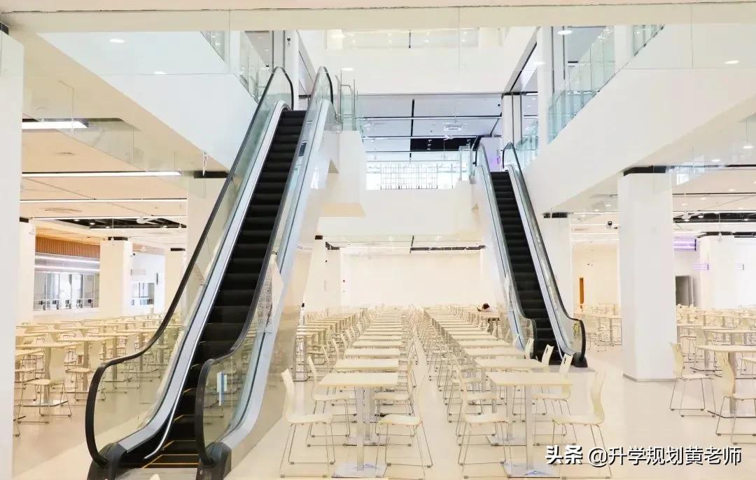 四川新建大学,四川哪些高校建新校区