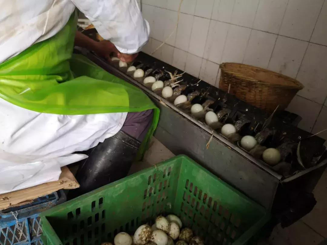 传承了280多年！这道来自嘉兴平湖的奇特美食，你吃过吗？