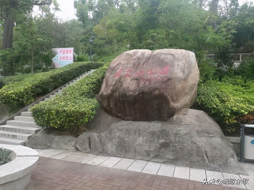 珠海公园森林风景,珠海公园美景视频