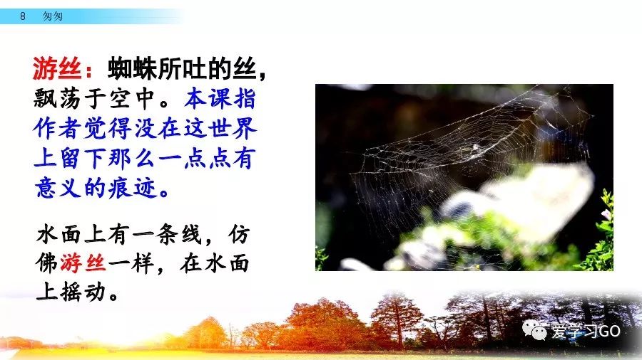 部编版小学语文六年级下册第8课《匆匆》图文讲解+知识要点