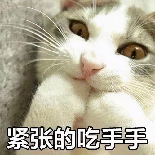 猫咪身上哪些部位不能碰水,猫咪身上的四个弱点