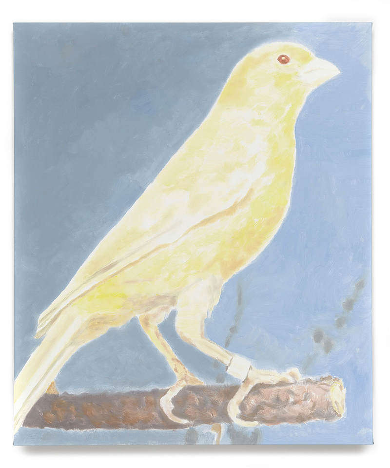 绘画已死,比利时画家吕克图伊曼斯