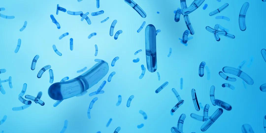 有妇科炎症的会导致不孕不育吗,妇科低度病变是癌症还是炎症