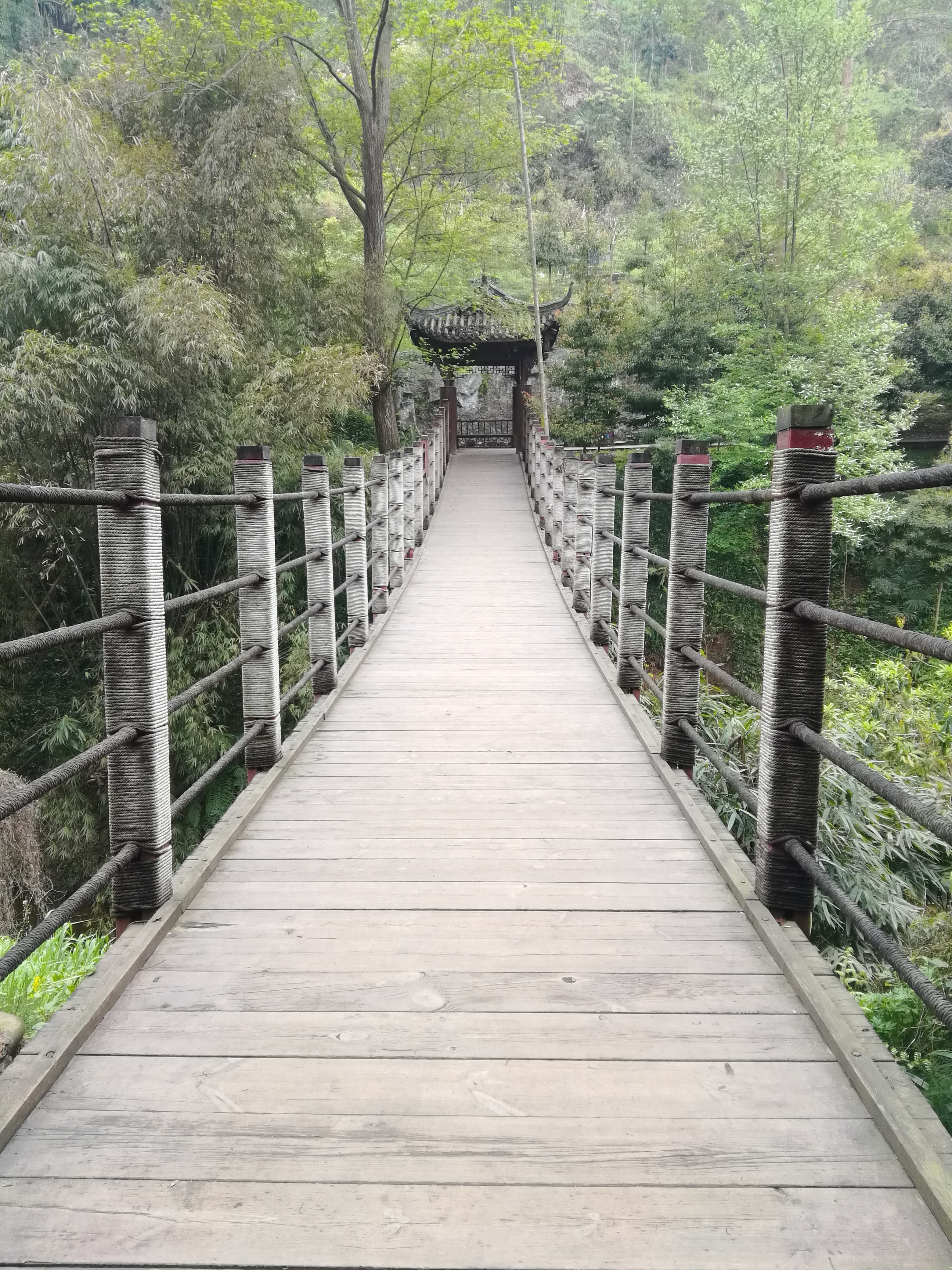 羊毛*党**策略—信用卡篇