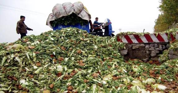 韩国泡菜韩国人过不去的坎,韩国人的泡菜尊严