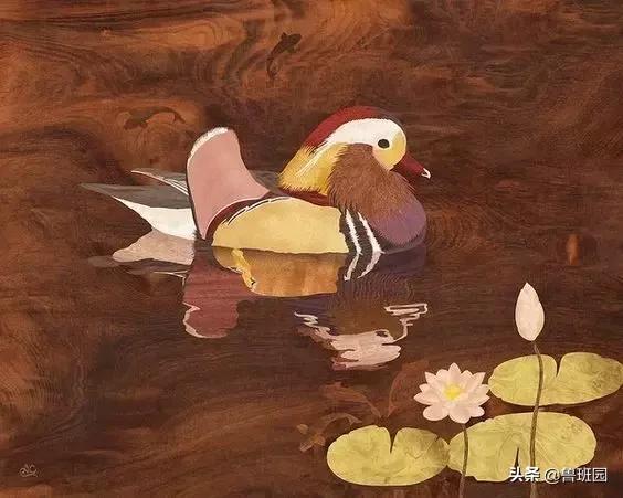 装饰材料木皮有哪些,装饰木皮有哪几种