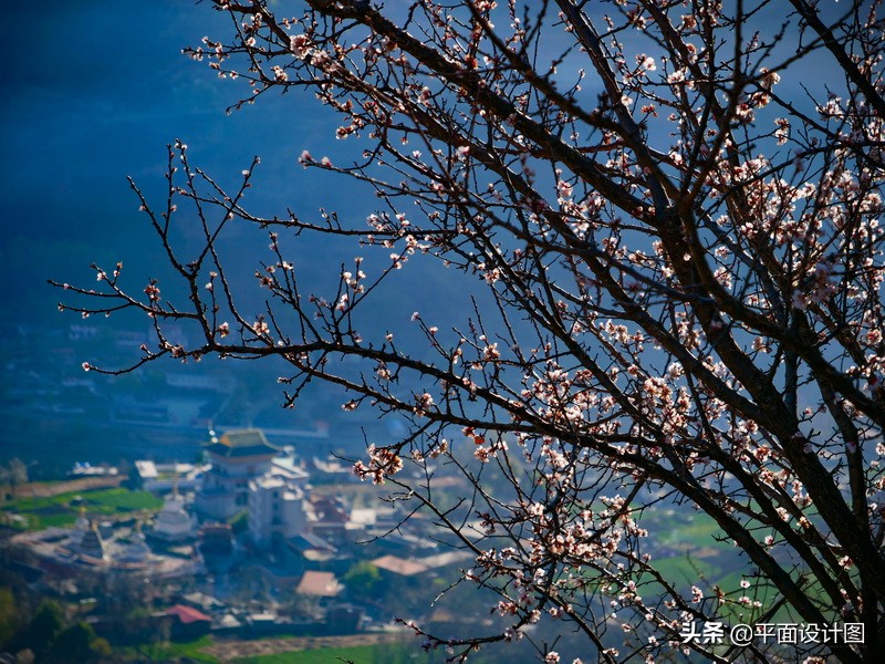 松下lumixg9测评,松下lumixgx9使用感受