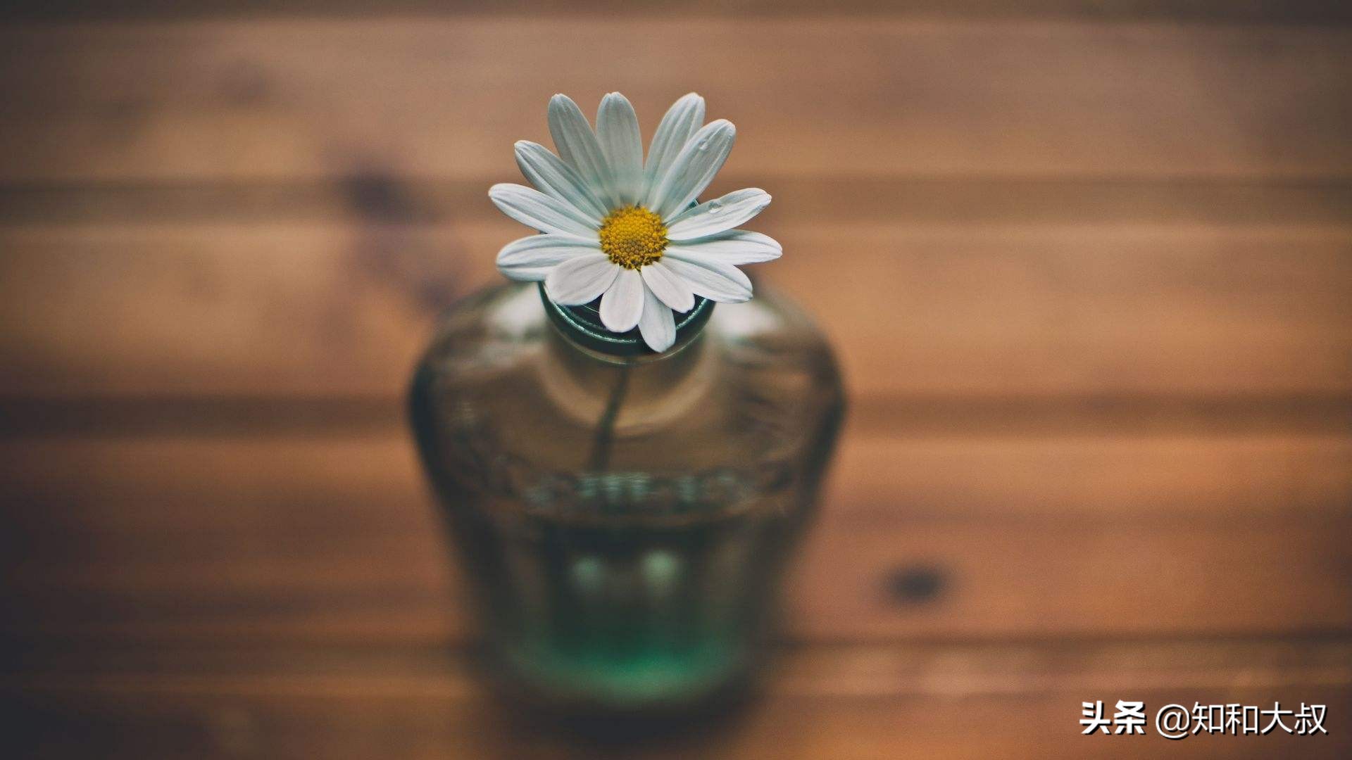 人走背运的禁忌,人走背运怎么化解