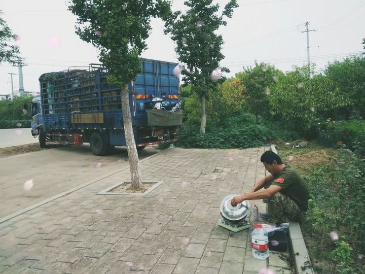 新西兰的蜂蜜好吗,新西兰的蜂蜜品牌排行