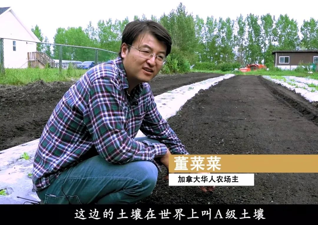 董菜菜真名,董菜菜抖音