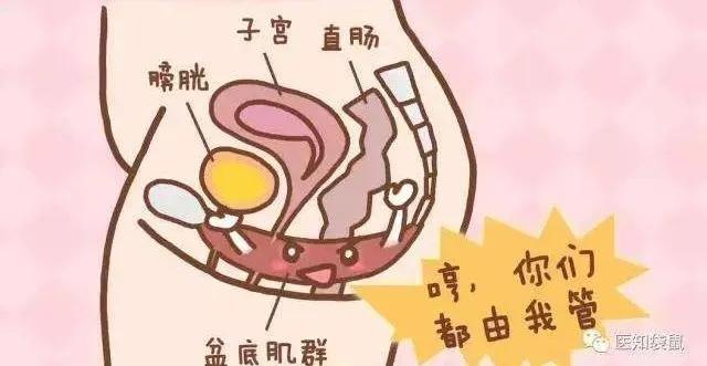 盆底功能障碍产后妈妈如何自检,哺乳期妈妈做噩梦
