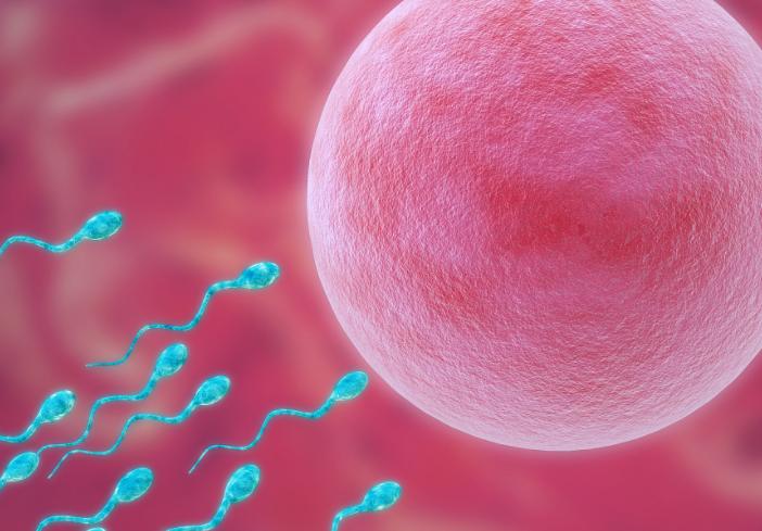 备孕很多年还是没有宝宝该怎么办,备孕经期推迟15天没怀孕怎么回事