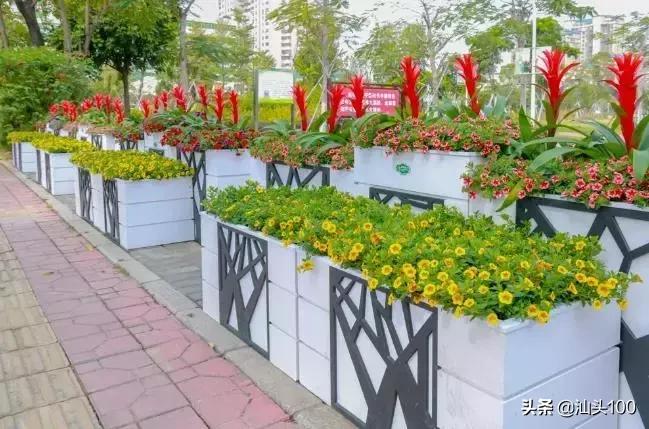 今年春节在汕头怎么玩！家门口的游玩攻略！盘它！