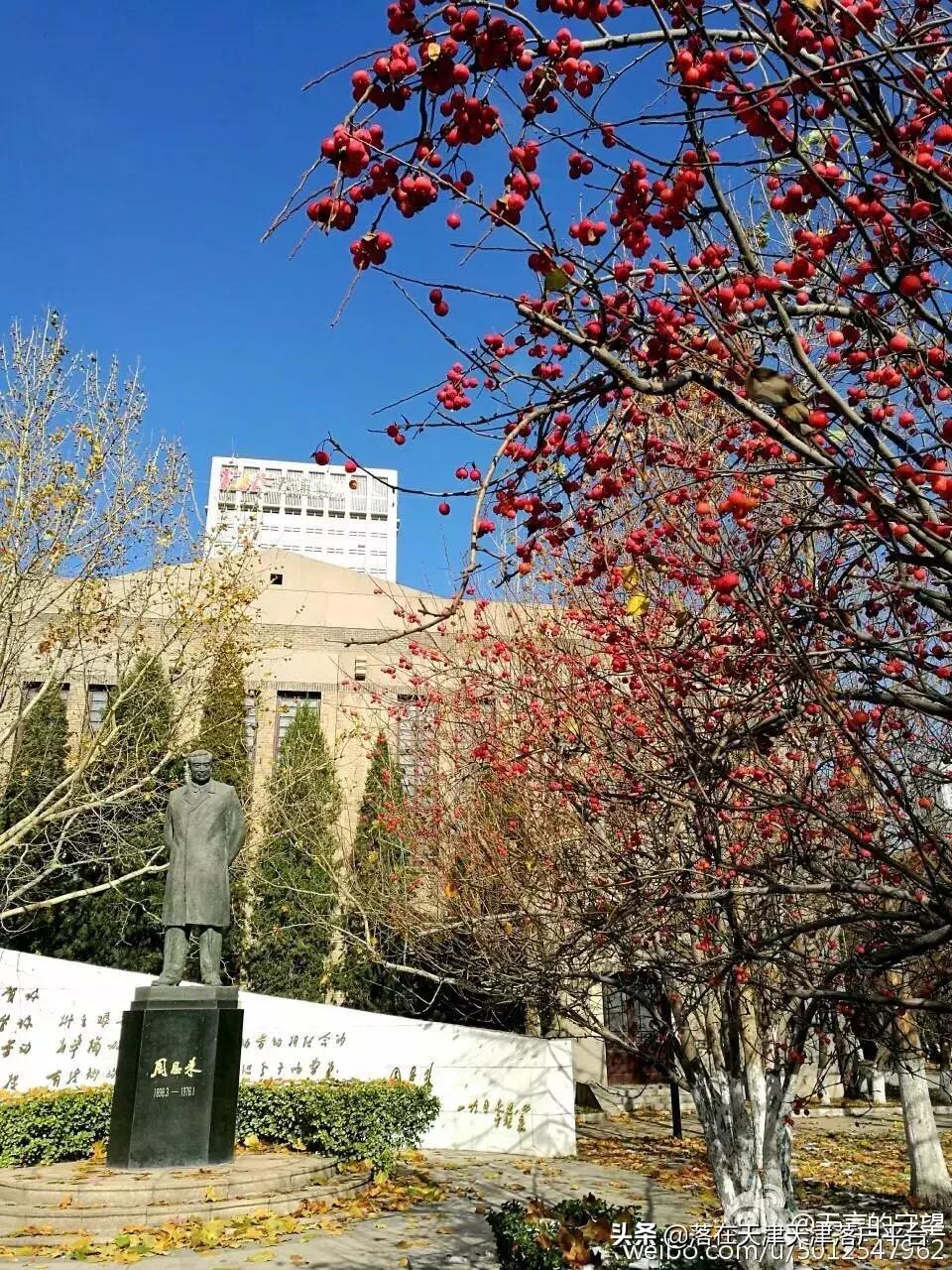 南开中学天津介绍,南开中学一览