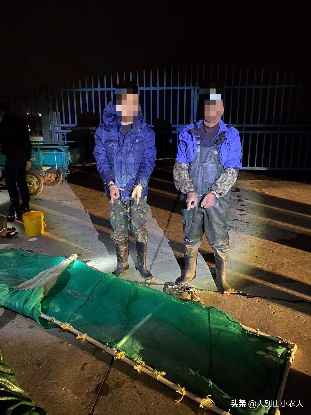 鳗鱼禁捕,鳗鱼繁殖之谜至今无法破解