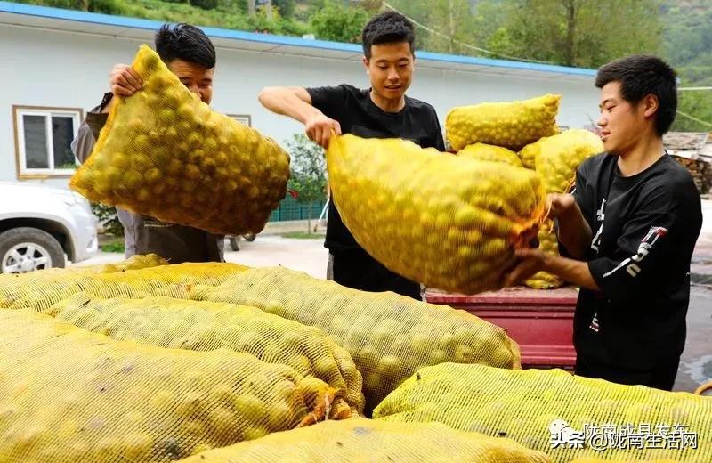 我叫成县,这是我2019年的自拍照