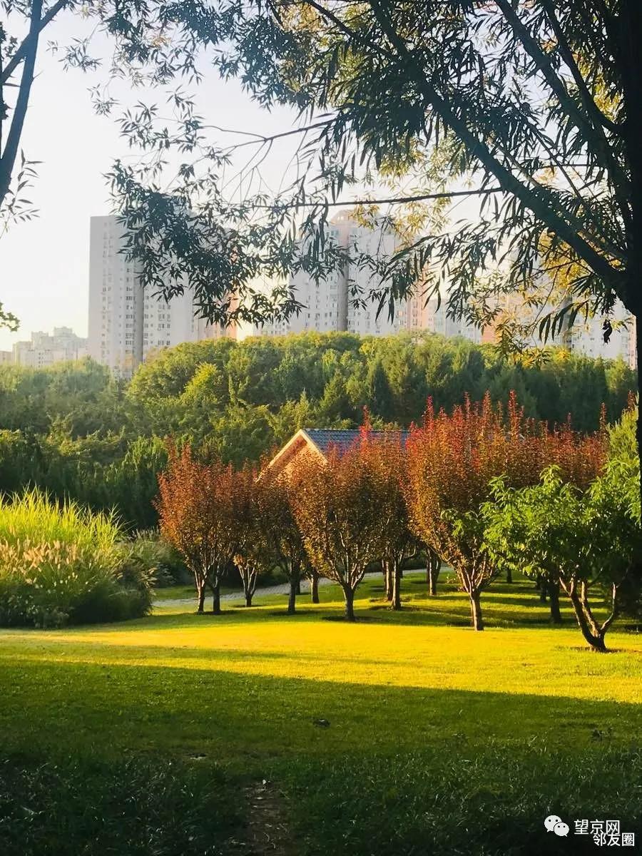 这样的你爱了吗精彩片段,这样的你爱了吗片段