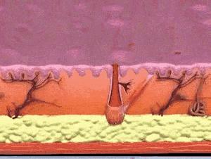 长痘不要惊慌教你自救小妙招,长痘怎么正确处理