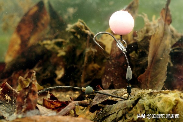 拉饵压几目浮漂好,怎样从浮漂判断饵的状态