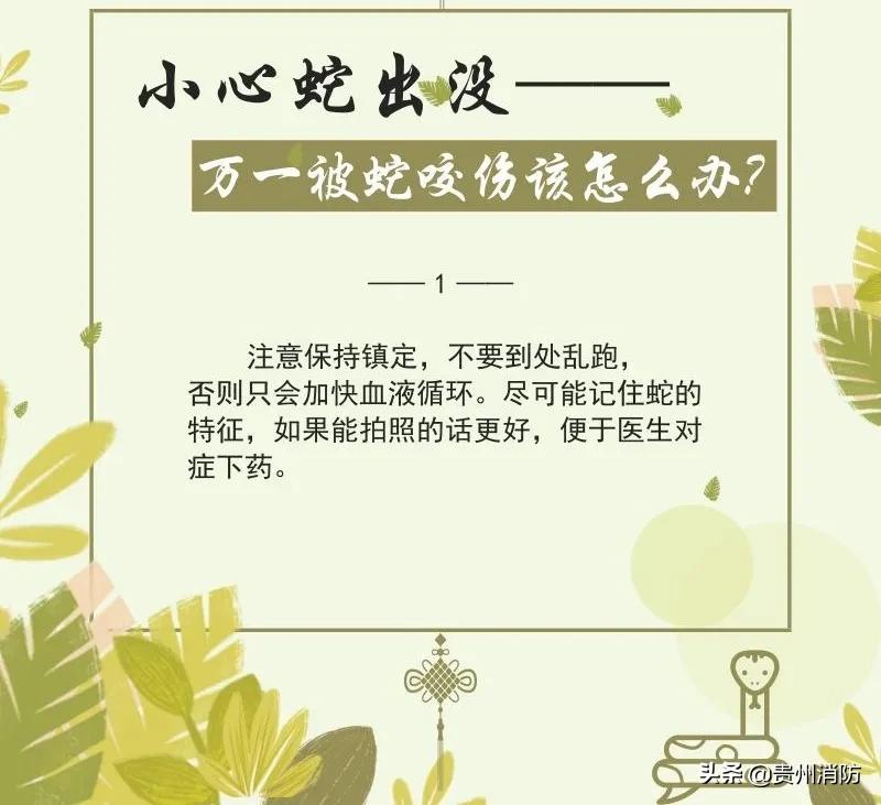 贵州头上有角的蛇,贵州头部是三角形的蛇