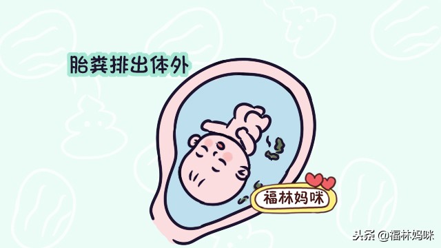 胎宝宝最害怕新手爸妈做哪些事,胎宝宝怕什么孕中期