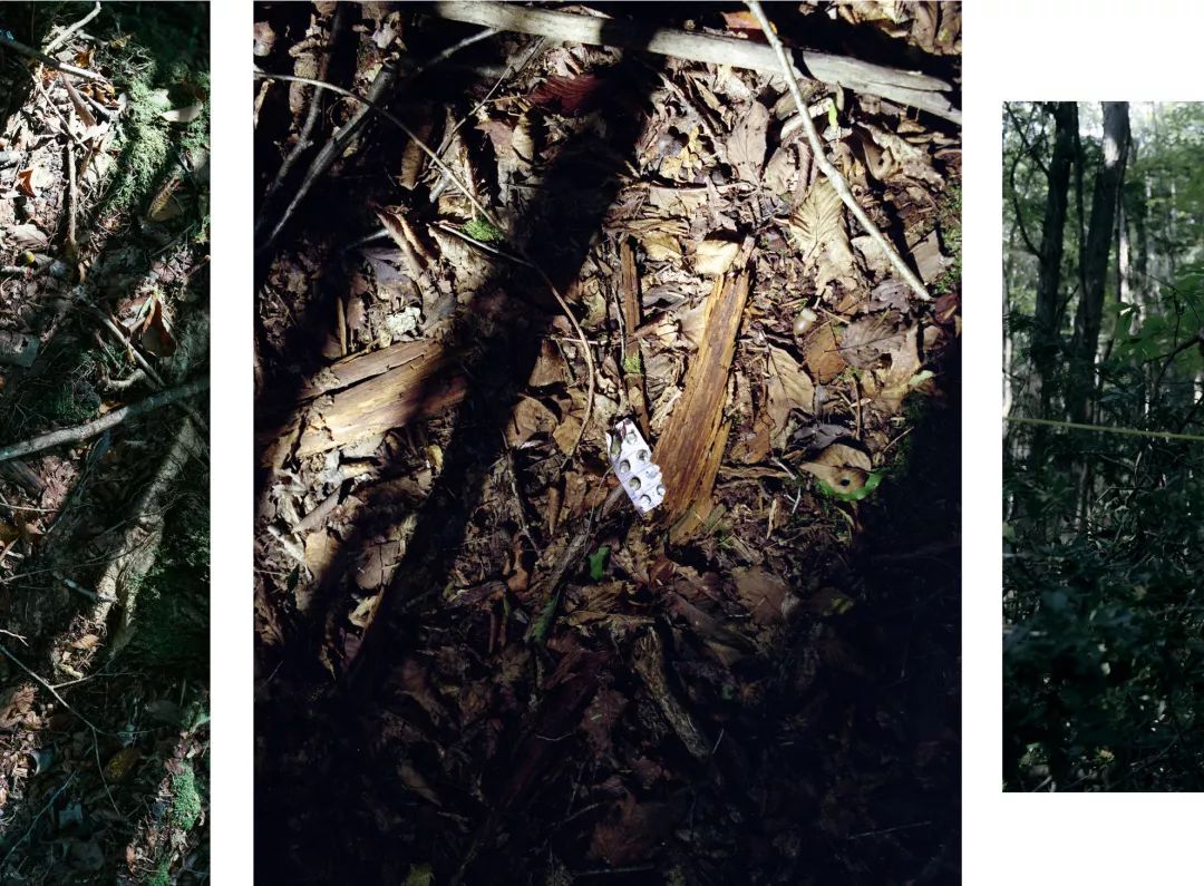 日本每年3万人自杀,韩星自杀成风…他探访3大自杀圣地,让人心惊