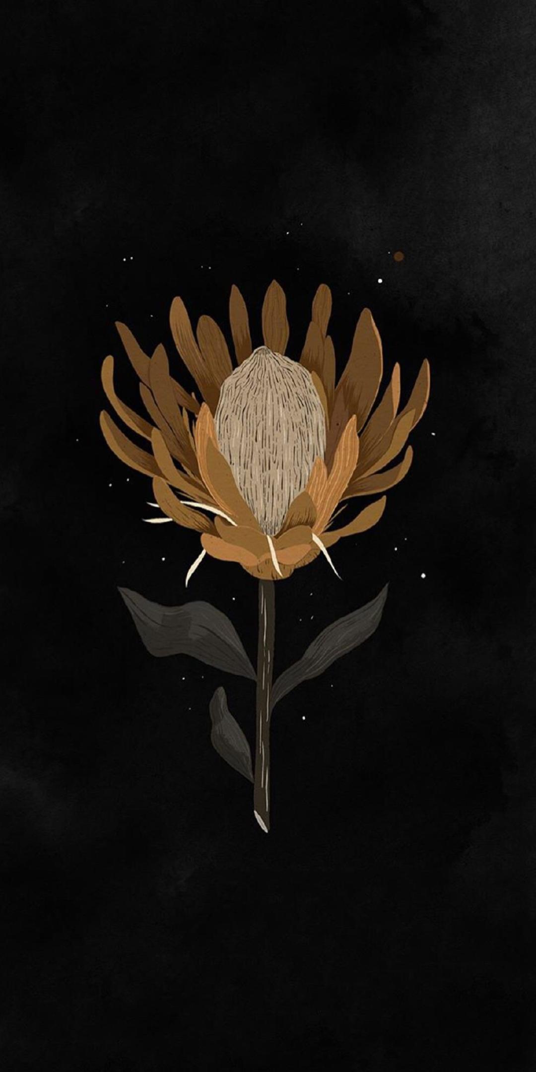 高清暗黑系壁纸创意,100张暗黑系壁纸