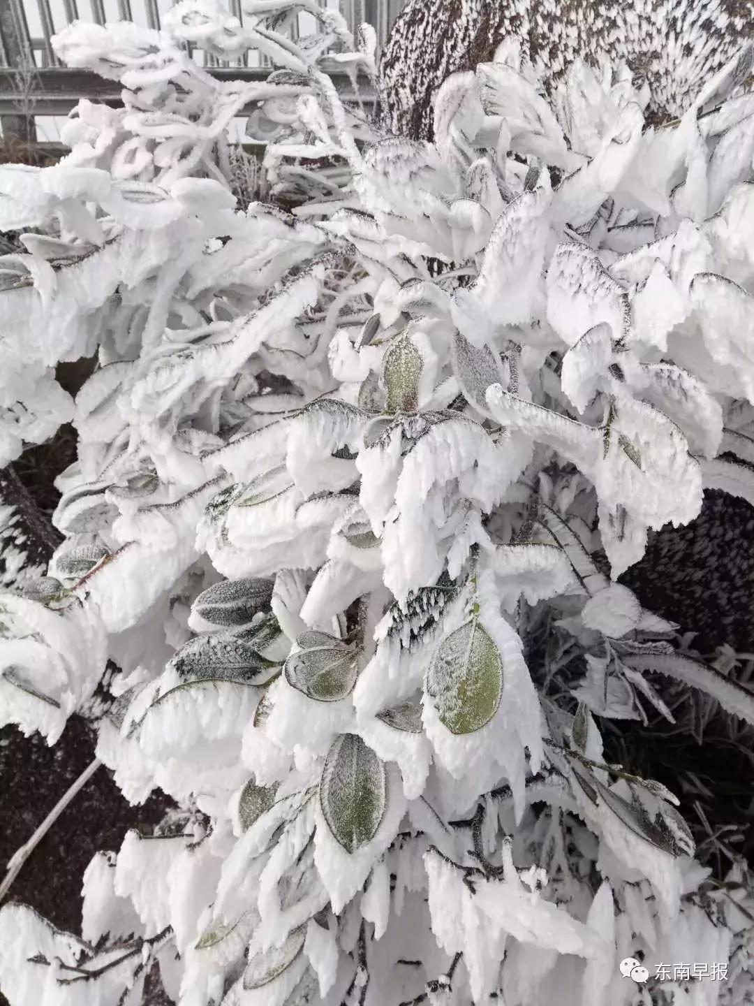 泉州九仙山下雪风景,泉州九仙山再现云海