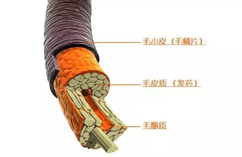 护发精油的主要成分是甘油吗,廉价护发精油是用工业硅油做的吗