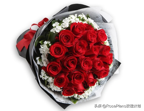 给女朋友送花送什么花最好,给女朋友生日送花送什么花