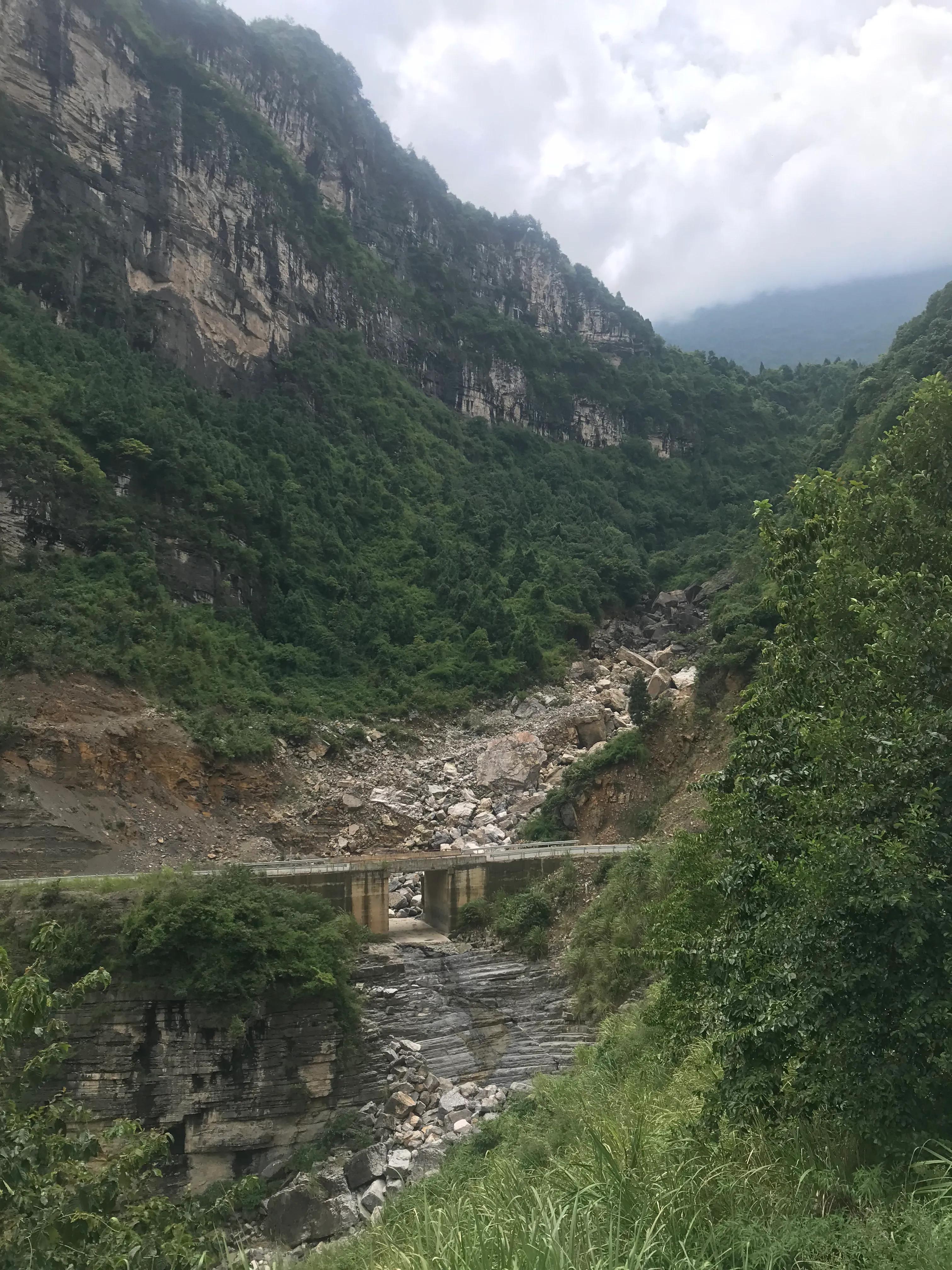 山远近路横斜读音,山远近路横斜青旗沽酒有人家意思