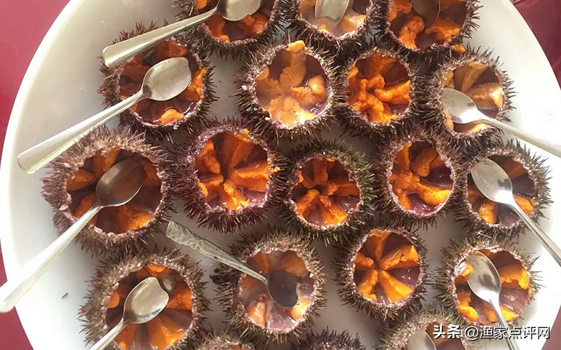 大连这个小岛不去看一看，真的会后悔