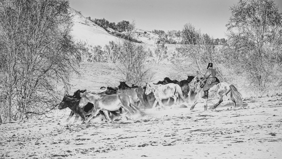 拍马都追不上的成语,拍马都赶不上的成语