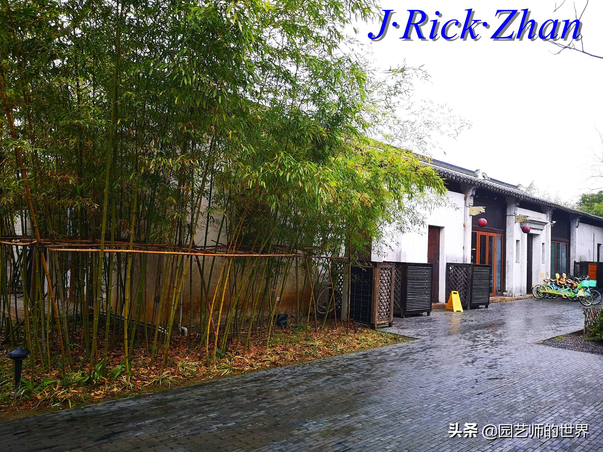 园艺现状和发展前景,园艺研学基地