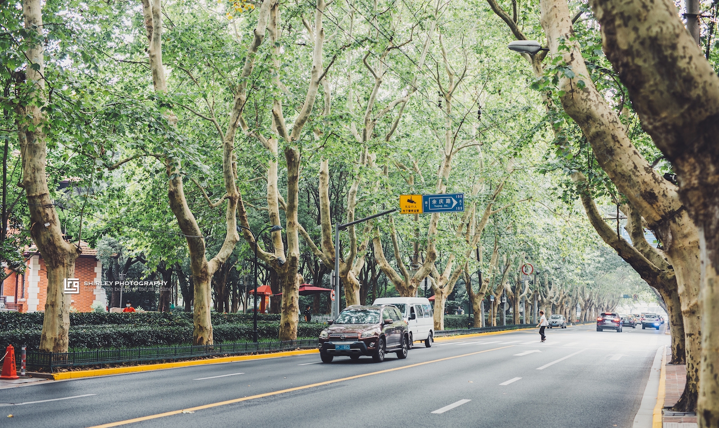 上海香榭丽舍大街,上海有一条东方的香榭丽舍大街