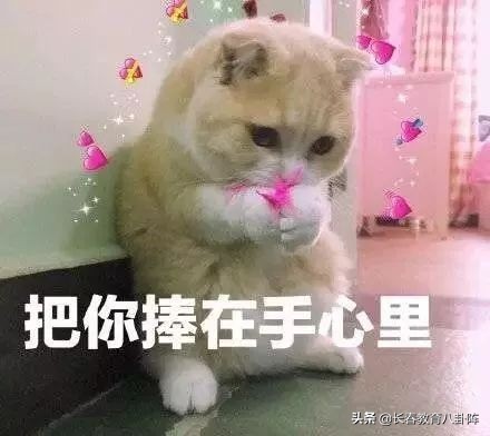 长春市汽开区学校,长春市汽开区重点学校