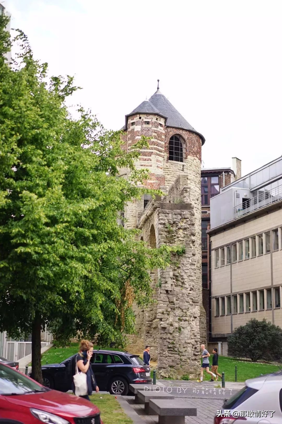 在蓝精灵的故乡邂逅天价纹身*国猪中**，只因我国没有动物保护约束