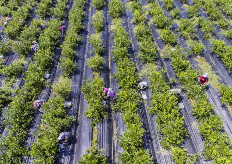 吉林市：一个贫困村的脱贫与“国家级贫困县”靖宇的“摘帽”