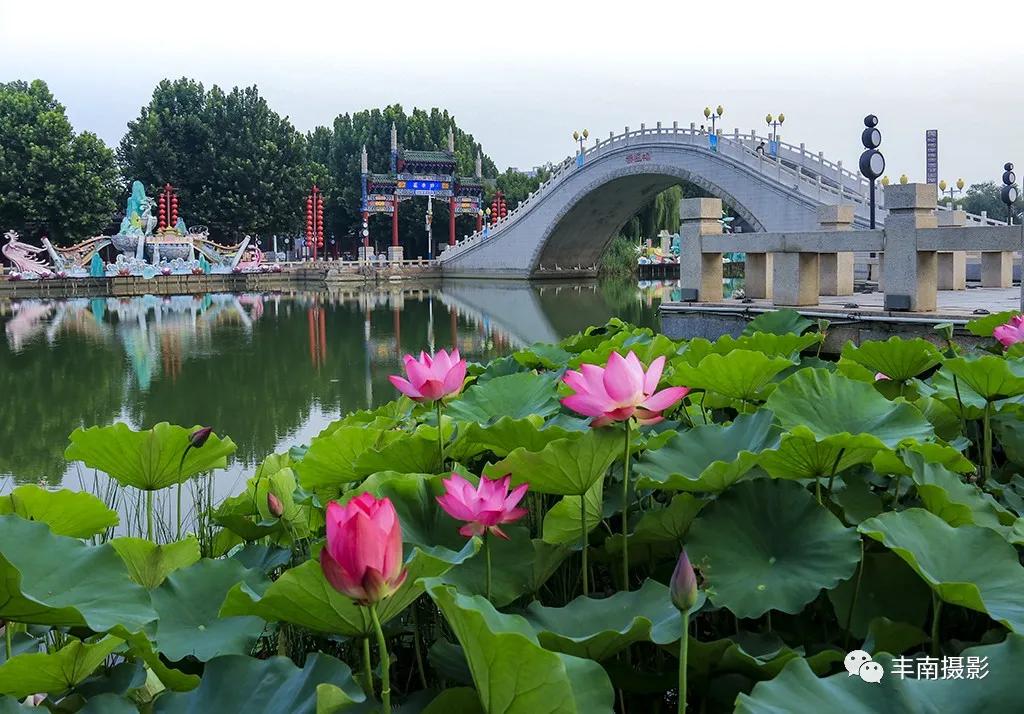 发现生活之美完整版,发现生活之美