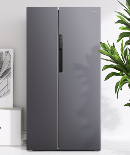 双开门冰箱质量排行榜前十名,国外品牌好质量冰箱排行榜