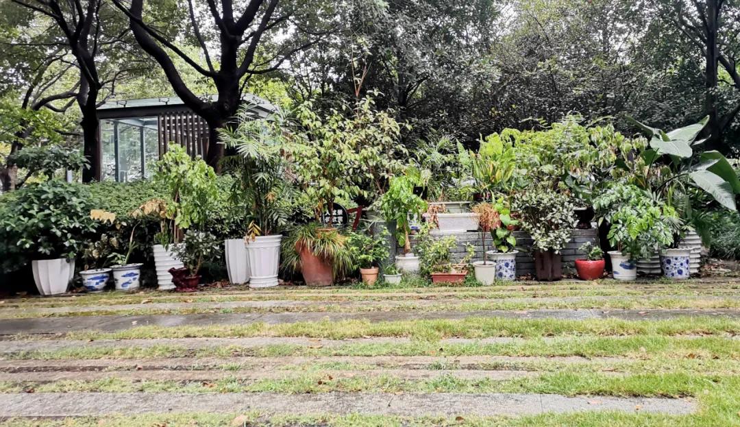 走遍苏州古城,走遍苏州这座城