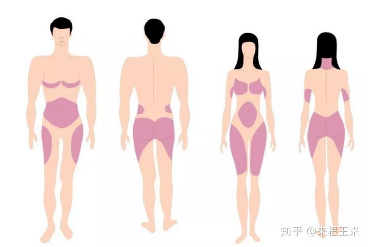 假胯宽、大象腿、脂肪腿,天生大粗腿的人该如何瘦大腿?