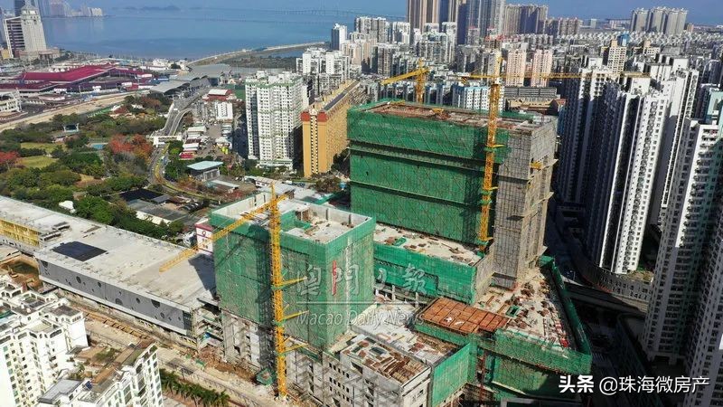 最近关于澳门开放自由行的消息,澳门单牌车可以去内地吗